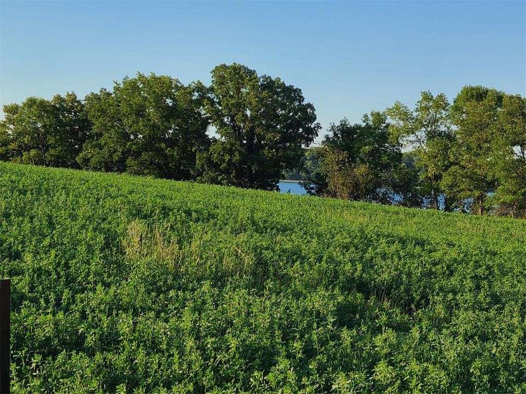 1.1 Acres of Land for Sale in Brandon Township, Minnesota
