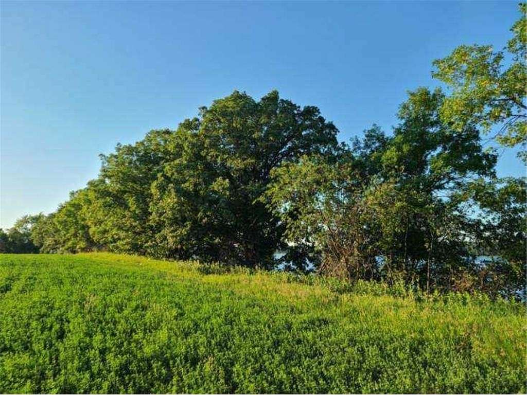 1.1 Acres of Land for Sale in Brandon, Minnesota