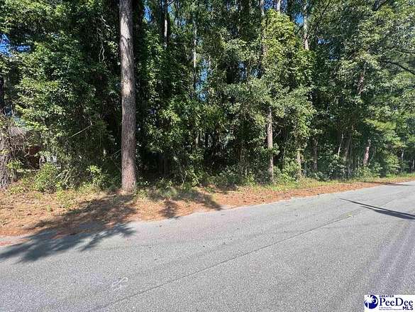 0.39 Acres of Residential Land for Sale in Florence, South Carolina