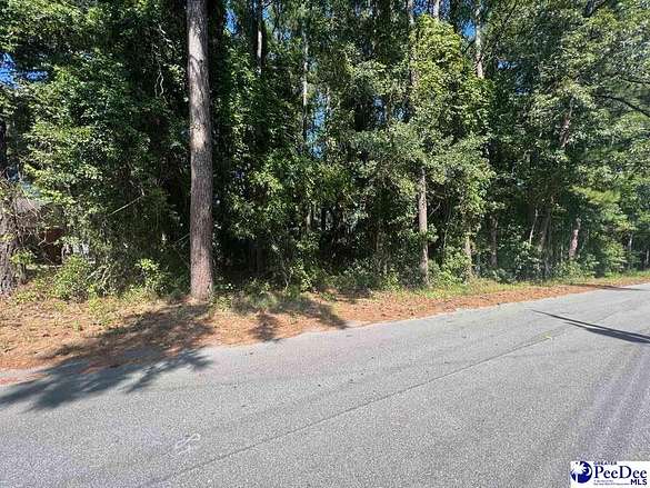 0.38 Acres of Residential Land for Sale in Florence, South Carolina