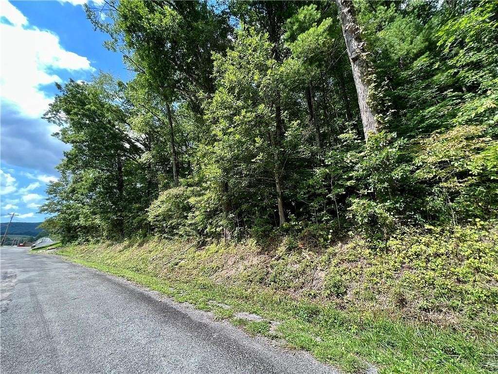 2.4 Acres of Residential Land for Sale in Mountain City, Tennessee