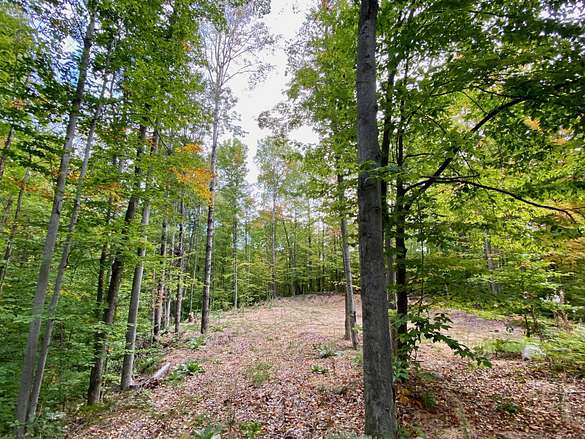 0.97 Acres of Land for Sale in Wolverine, Michigan