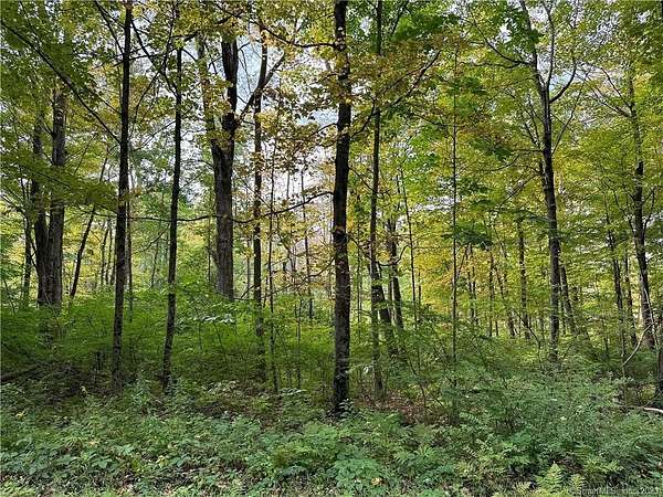115 Acres of Land for Sale in Warren, Connecticut
