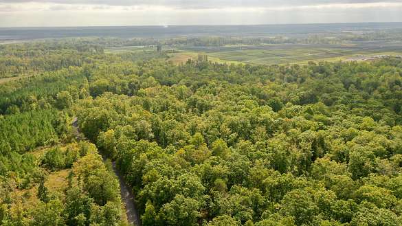20.9 Acres of Recreational Land for Sale in Locust Grove, Virginia