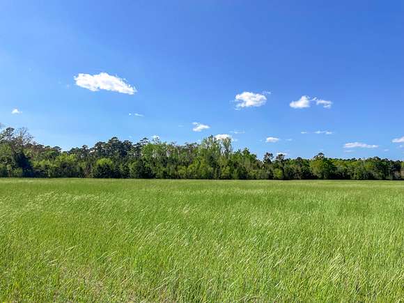 10.2 Acres of Land for Sale in Johnsonville, South Carolina