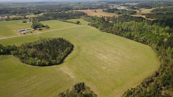 9.6 Acres of Recreational Land & Farm for Sale in Johnsonville, South Carolina