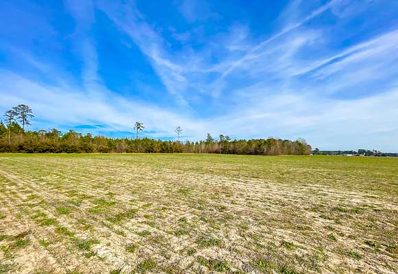 8.8 Acres of Recreational Land & Farm for Sale in Johnsonville, South Carolina