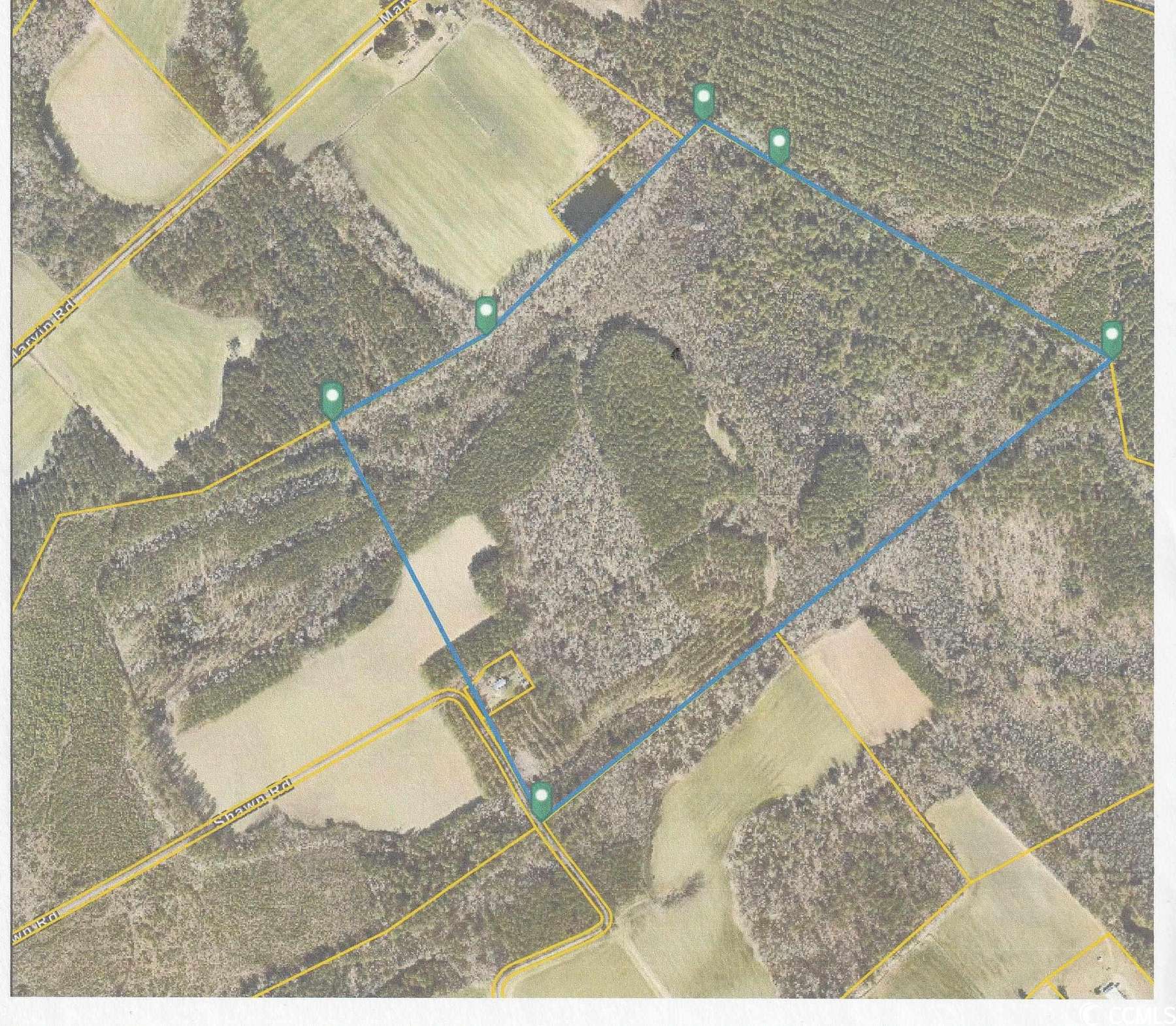 107 Acres of Recreational Land for Sale in Lake City, South Carolina