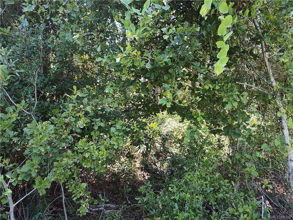 0.33 Acres of Land for Sale in Citra, Florida