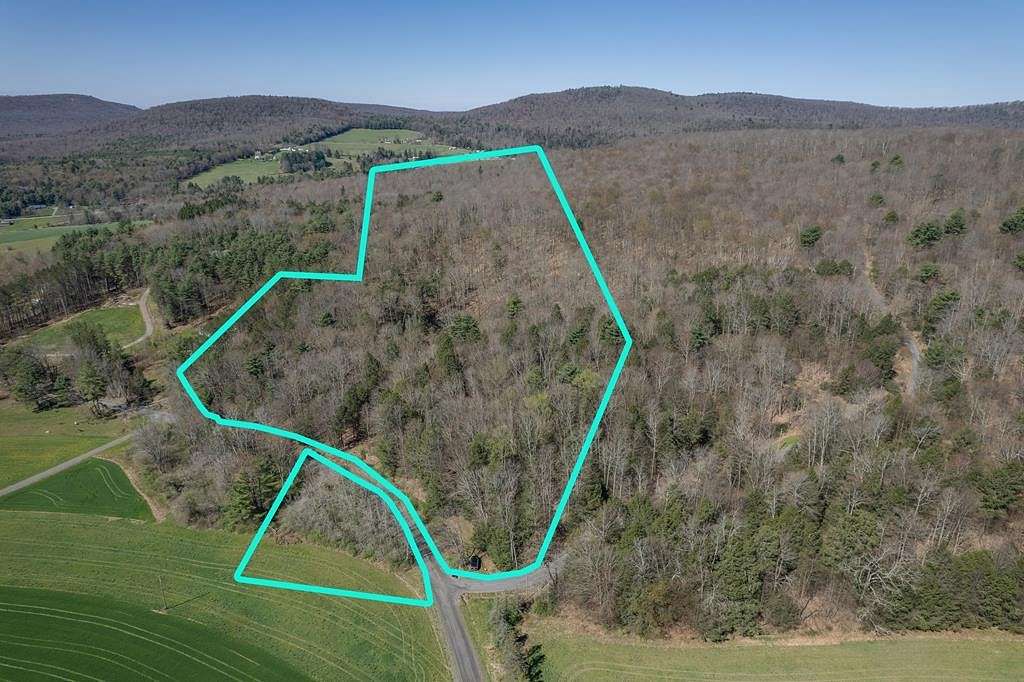 43 Acres of Recreational Land with Home for Sale in Trout Run, Pennsylvania