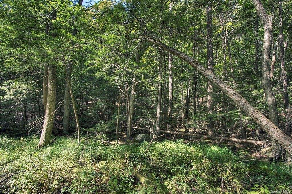 7.9 Acres of Land for Sale in Warwick, New York