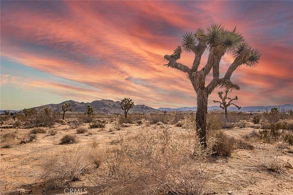 10 Acres of Residential Land for Sale in Yucca Valley, California