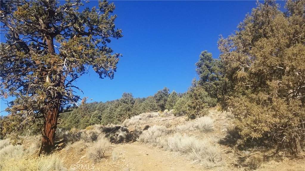 10 Acres of Residential Land for Sale in Big Bear City, California