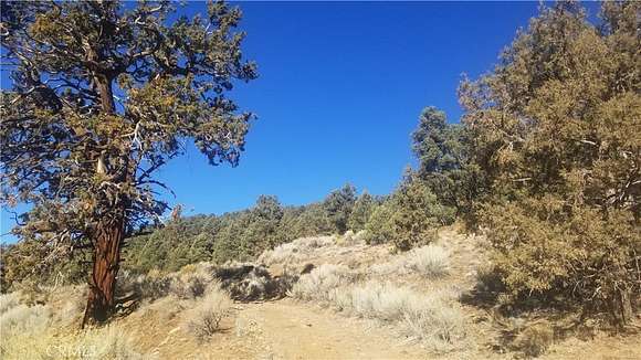 10 Acres of Residential Land for Sale in Big Bear City, California