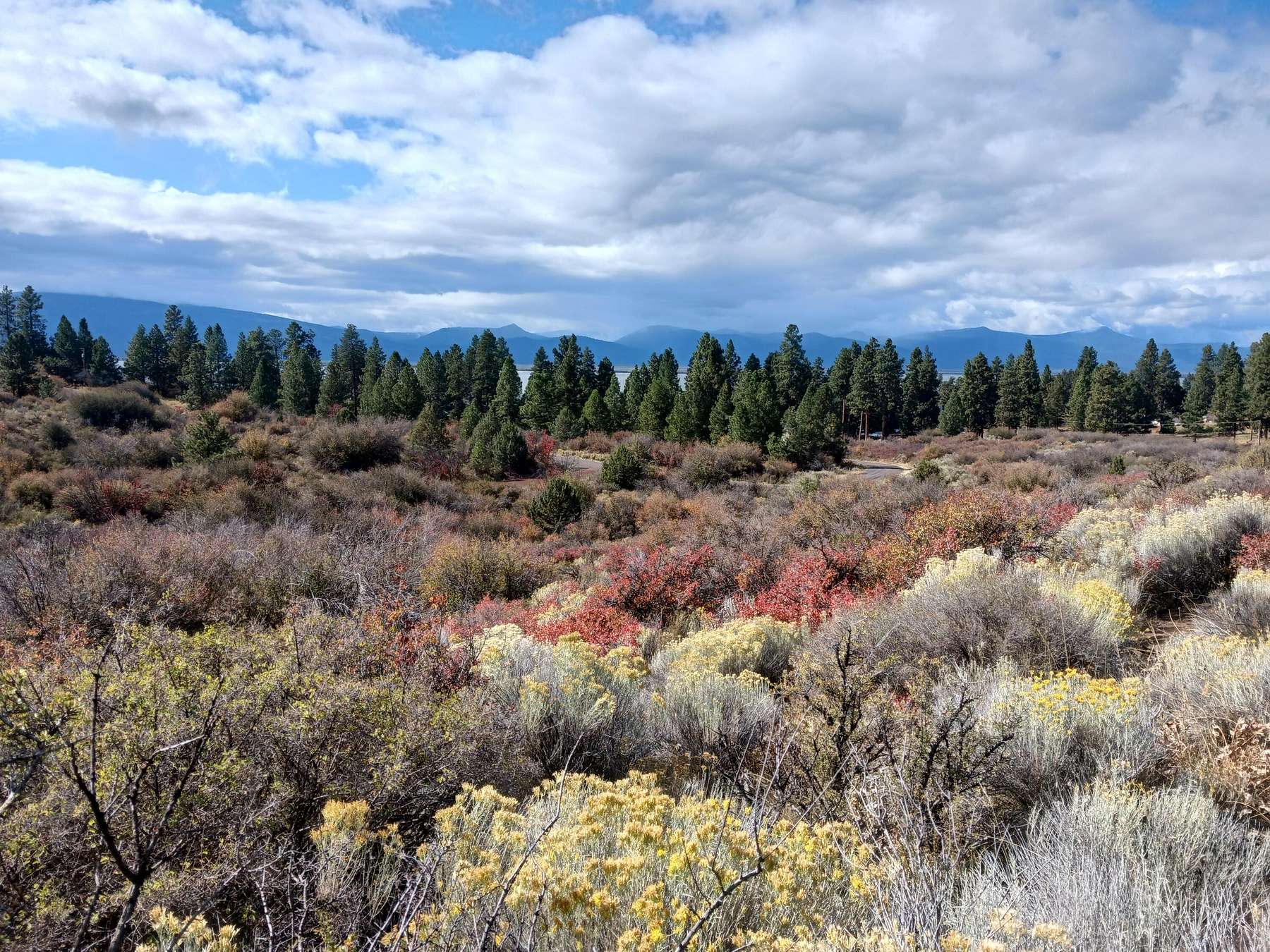 0.82 Acres of Residential Land for Sale in Chiloquin, Oregon