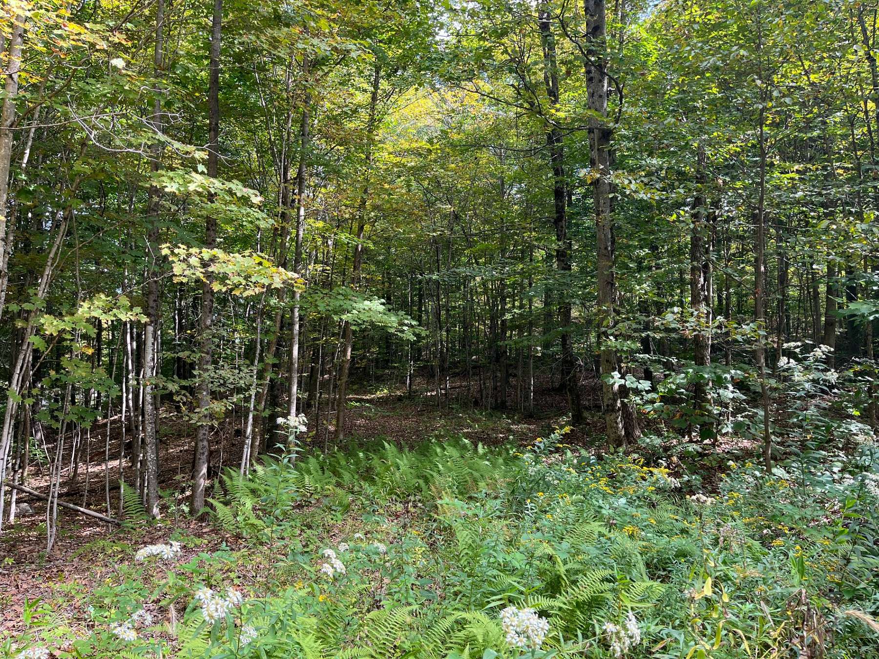 5.8 Acres of Residential Land for Sale in Harrisville, New York