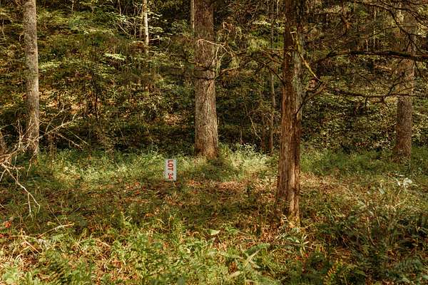 2.1 Acres of Land for Sale in Campton, Kentucky