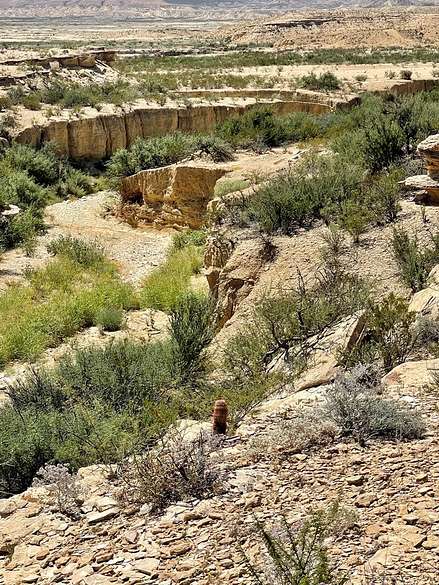 320 Acres of Recreational Land for Sale in Terlingua, Texas