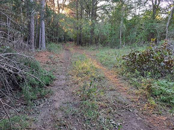 40 Acres of Recreational Land for Sale in Wilburton, Oklahoma