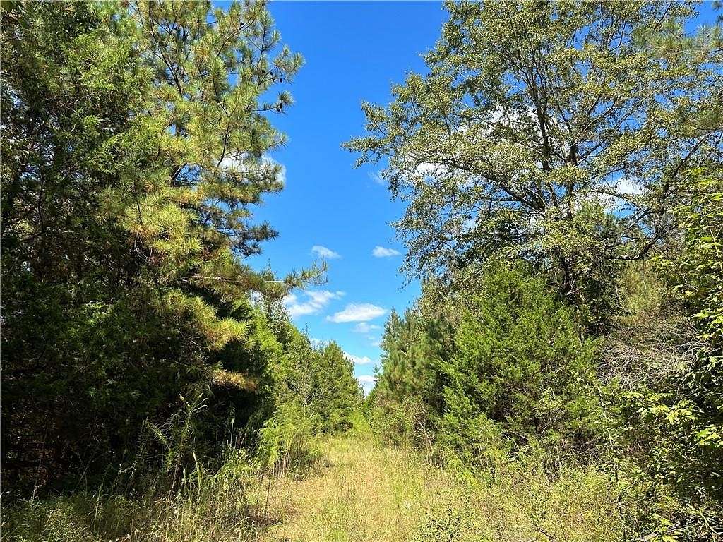 12.3 Acres of Land for Sale in Auburn, Alabama