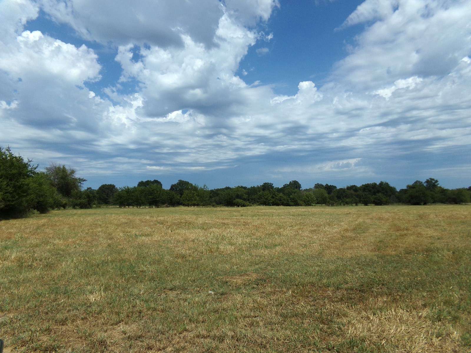 232 Acres of Recreational Land & Farm for Sale in Blossom, Texas