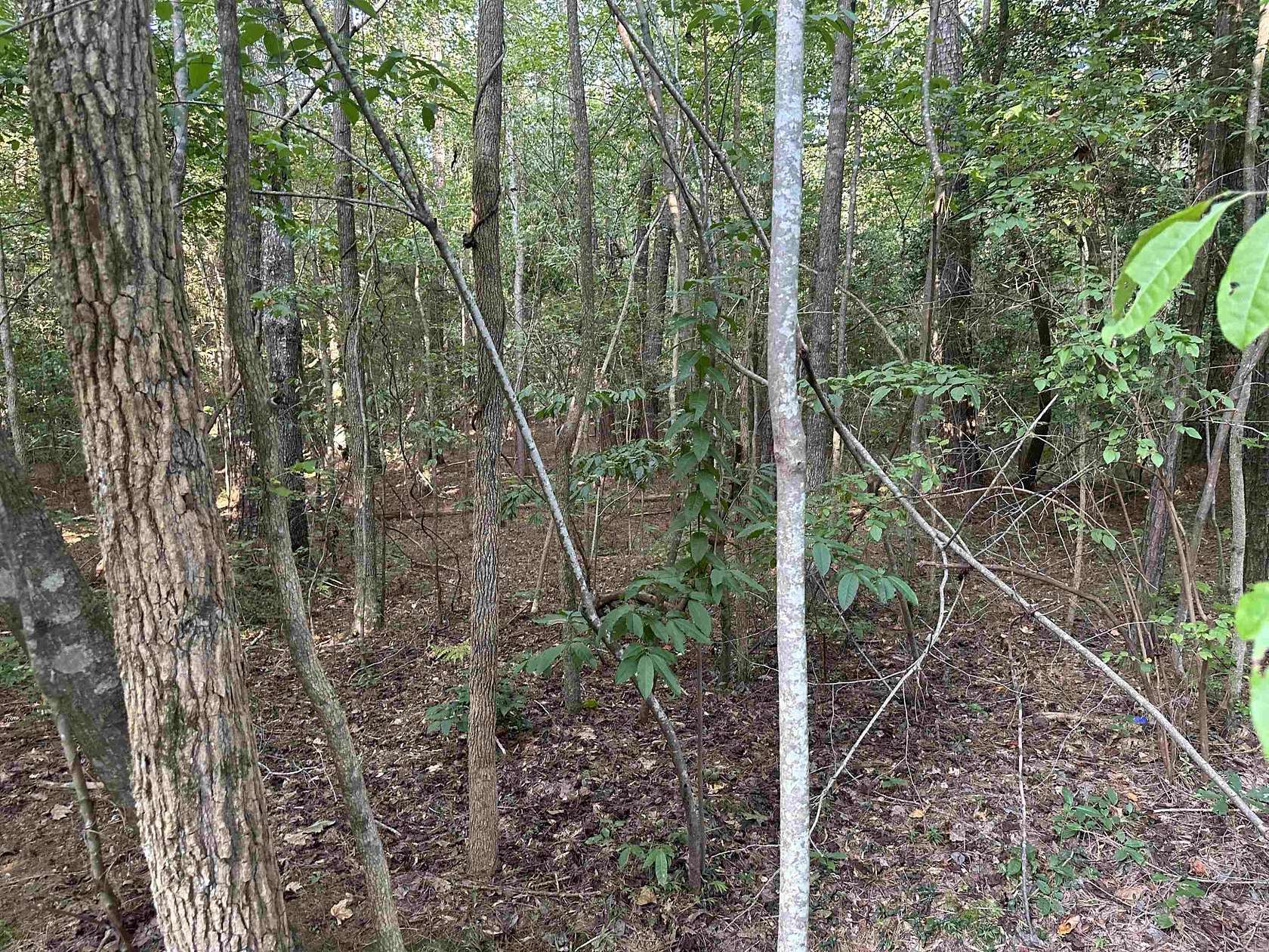 0.36 Acres of Residential Land for Sale in Louisburg, North Carolina