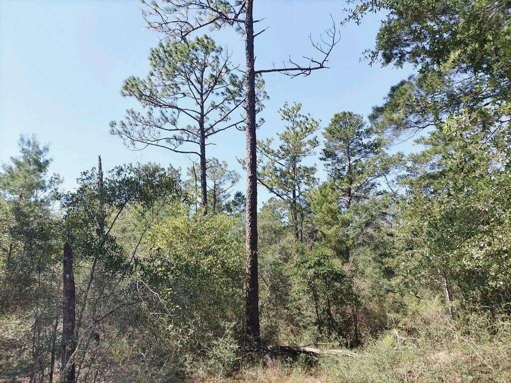 5 Acres of Residential Land for Sale in Crestview, Florida