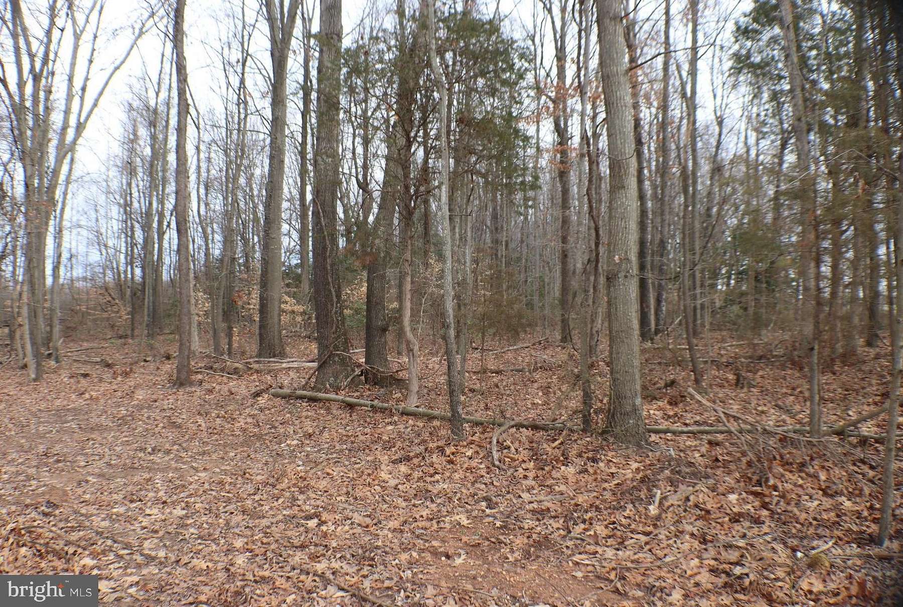 4.5 Acres of Residential Land for Sale in Nanjemoy, Maryland