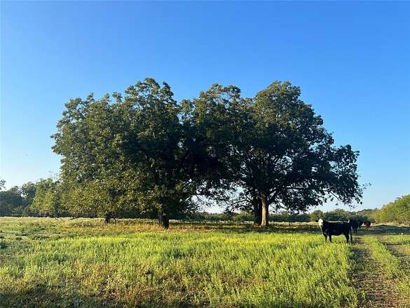16 Acres of Land for Sale in Commerce, Texas