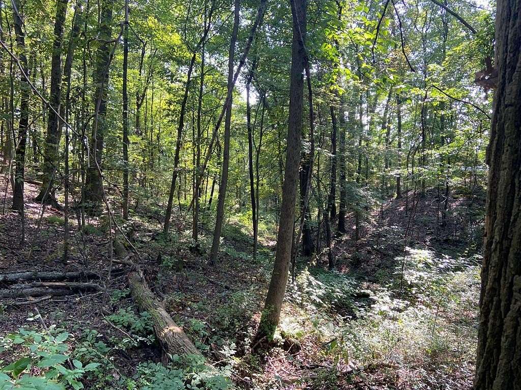 2 Acres of Land for Sale in Knox, Pennsylvania