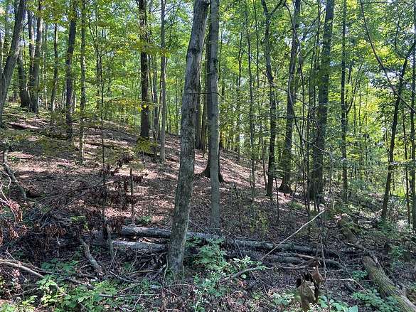 2 Acres of Residential Land for Sale in Knox, Pennsylvania