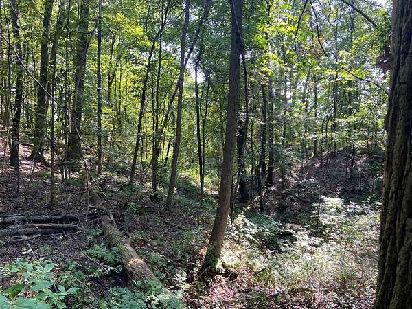 2 Acres of Land for Sale in Knox, Pennsylvania