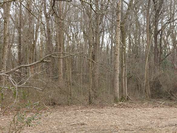 3.2 Acres of Residential Land for Sale in Mardela Springs, Maryland