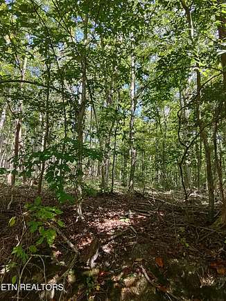 0.16 Acres of Residential Land for Sale in Speedwell, Tennessee