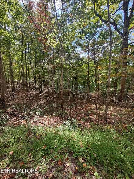 0.57 Acres of Residential Land for Sale in Speedwell, Tennessee