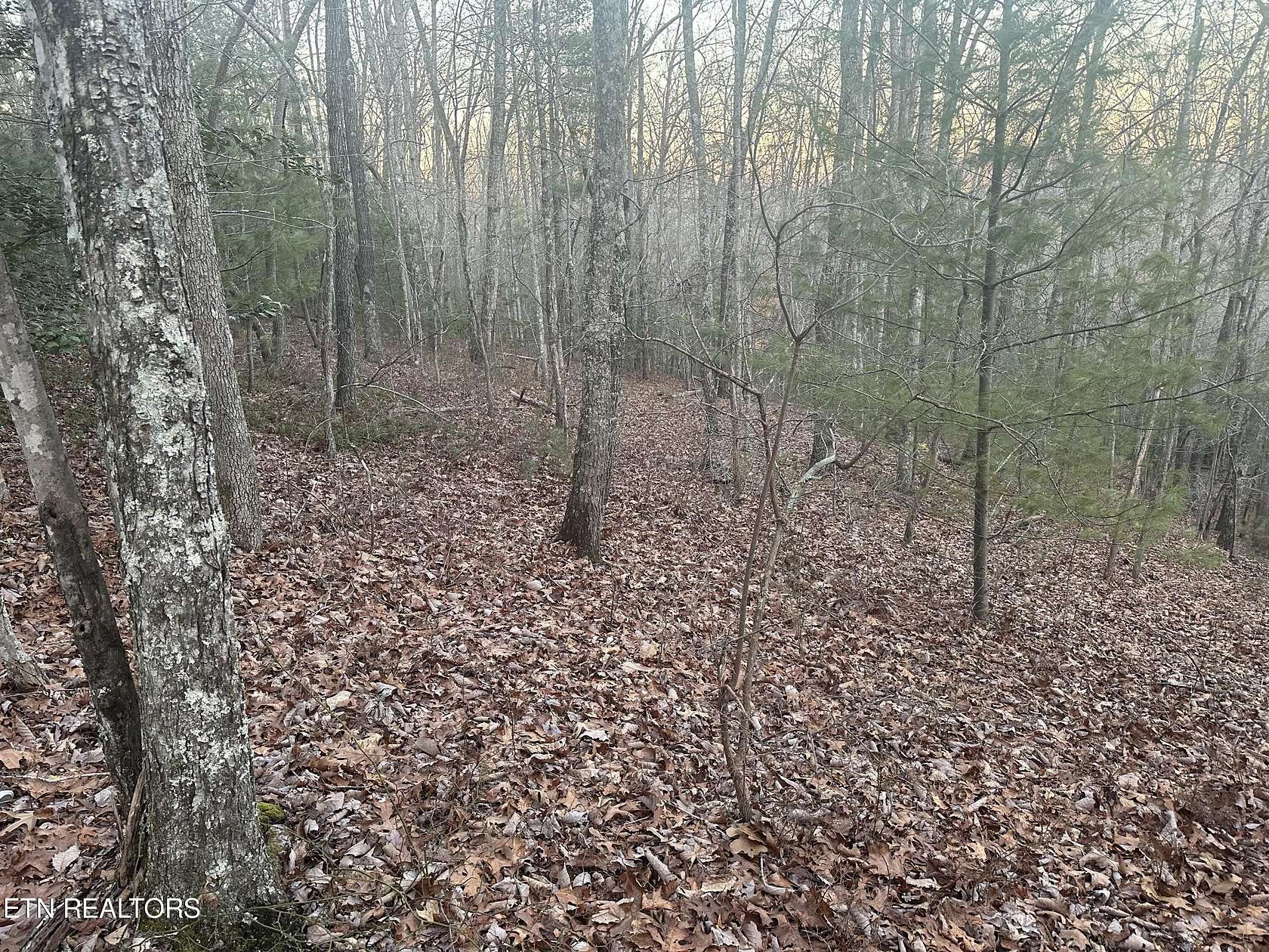 4.6 Acres of Residential Land for Sale in Harriman, Tennessee
