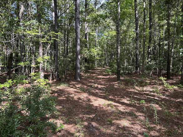 54 Acres of Agricultural Land for Sale in Adams Run, South Carolina