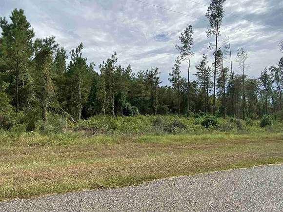 20 Acres of Land for Sale in Perdido, Alabama