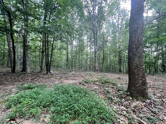 14.6 Acres of Recreational Land for Sale in Ashland City, Tennessee