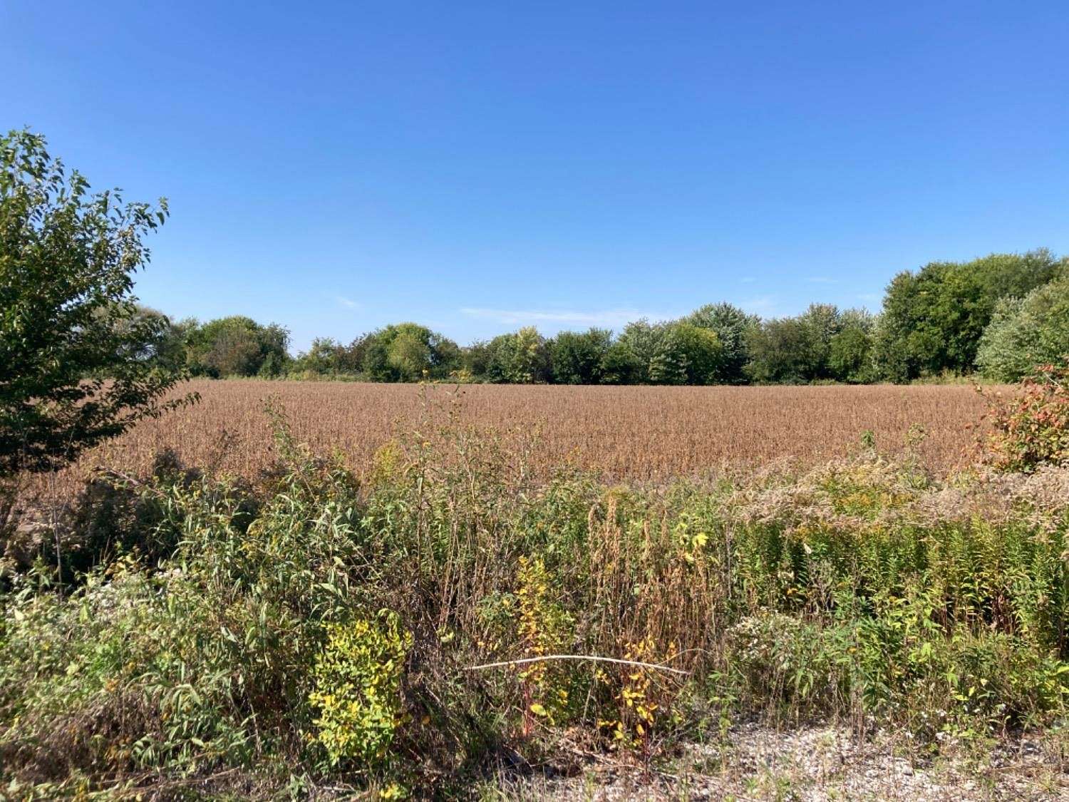 50 Acres of Agricultural Land for Sale in Lowell, Indiana