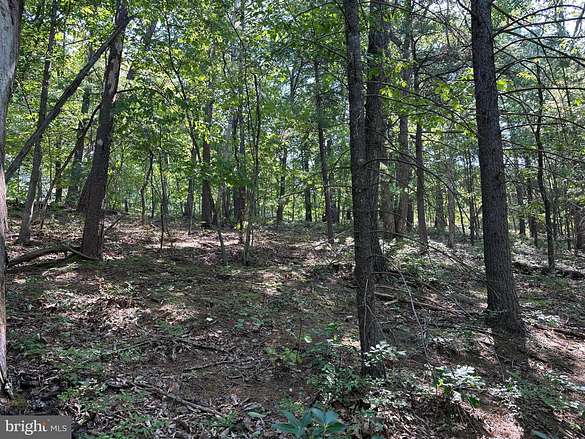 0.44 Acres of Land for Sale in Basye, Virginia