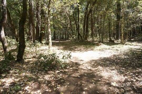 4 Acres of Land for Sale in Hawkins Bar, California