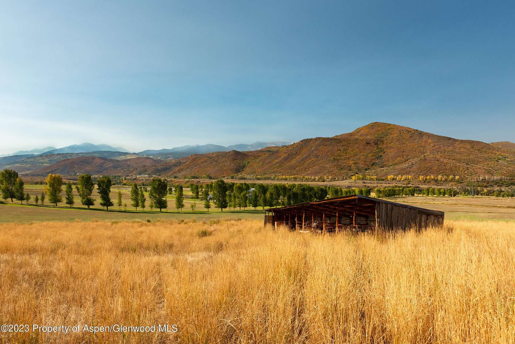 81.44 Acres of Land for Sale in Woody Creek, Colorado