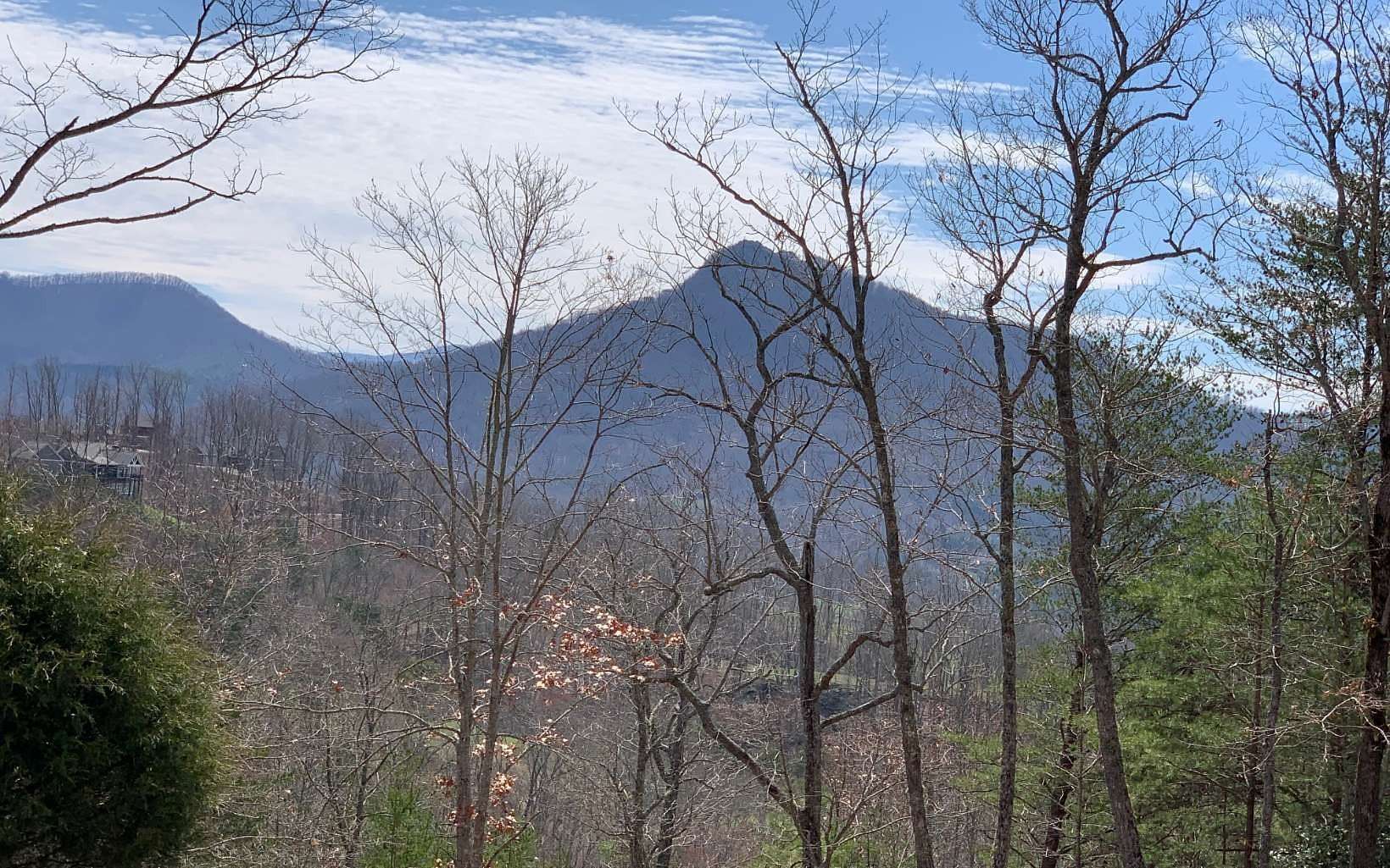 1 Acre of Residential Land for Sale in Hayesville, North Carolina
