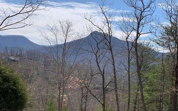 1 Acre of Residential Land for Sale in Hayesville, North Carolina