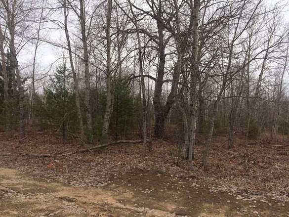 1.2 Acres of Residential Land for Sale in Pellston, Michigan