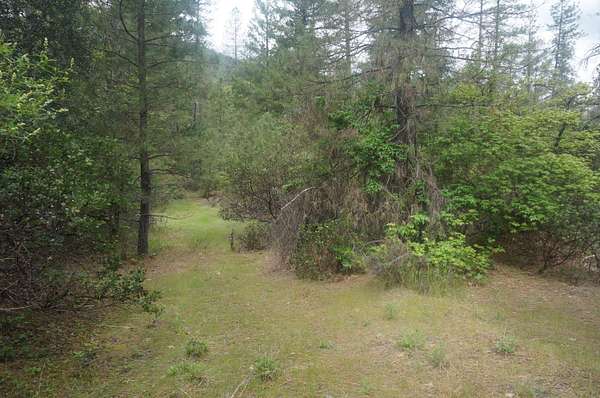 31 Acres of Land for Sale in Junction City, California