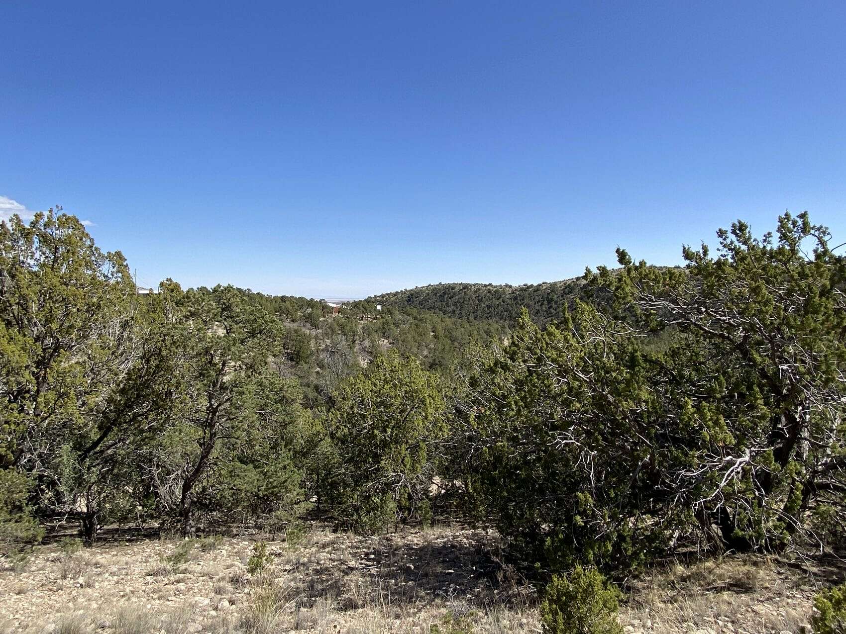 2.1 Acres of Residential Land for Sale in Timberon, New Mexico - LandSearch