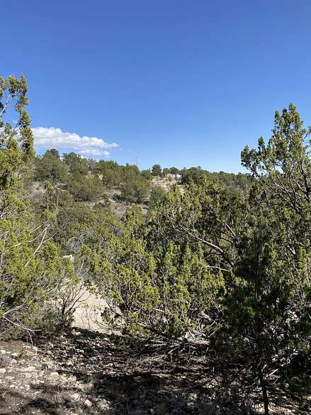 2.1 Acres of Residential Land for Sale in Timberon, New Mexico - LandSearch