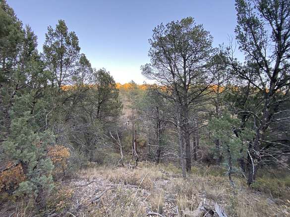 0.58 Acres of Residential Land for Sale in Timberon, New Mexico
